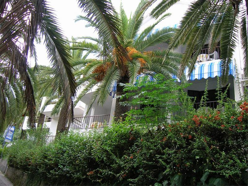Apartmani I Sobe Goca 헤르섹 외부 사진